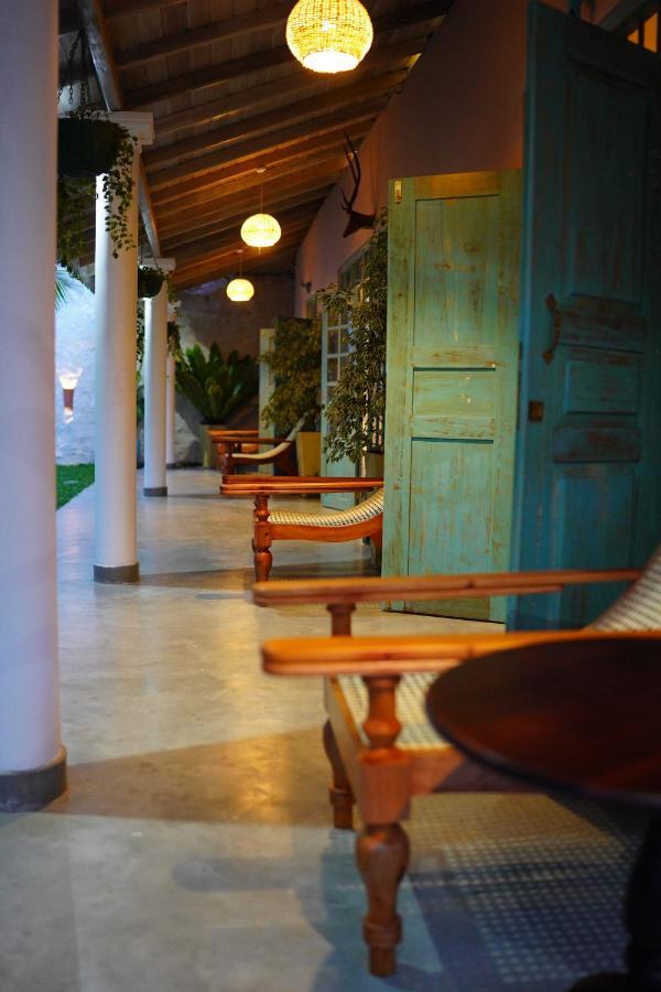 Vila Ronaya Surf Waves Dikwella Exteriér fotografie